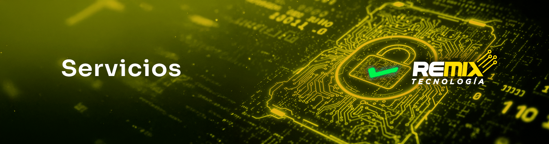 Servicios Remix1